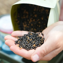 OMC iScream Micro Pellet Mix 1kg